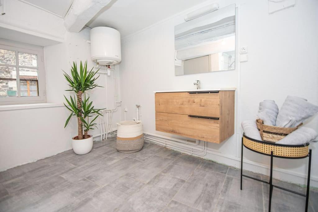 דירות Magnifique Studio Au Coeur De Saint Paulien מראה חיצוני תמונה
